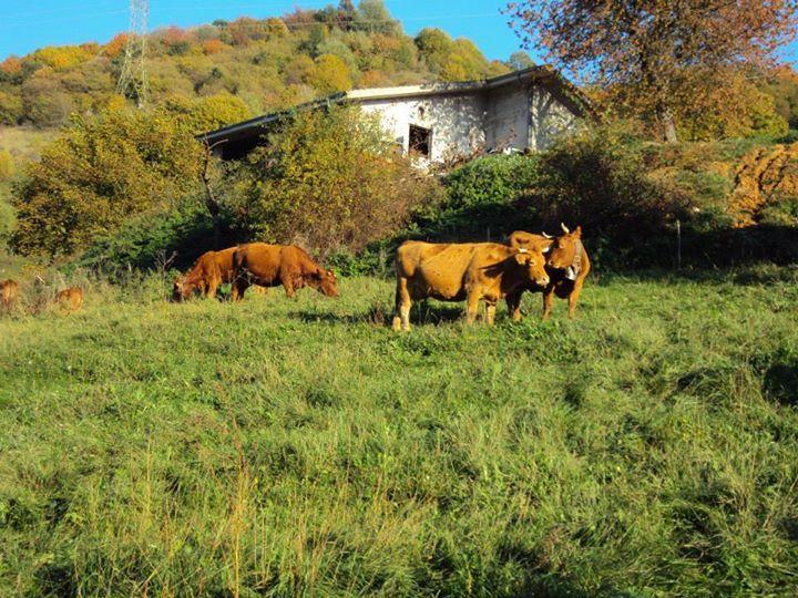 Agriturismo La Part San Zeno di Montagna Luaran gambar